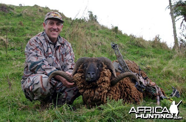 New Zealand Arawapa Ram-#4 SCI