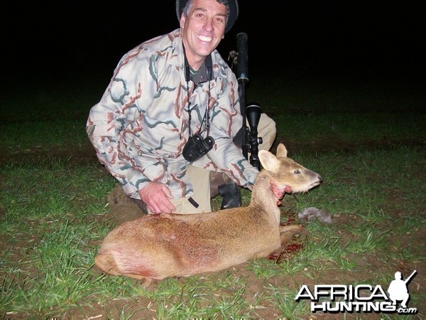 Chinese Water Deer-England