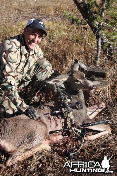 Rocky Mtn. Mule deer-Colorado