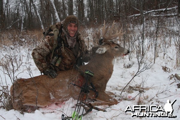 Alberta White-tailed deer