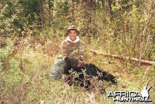 Ontario inland Black Bear