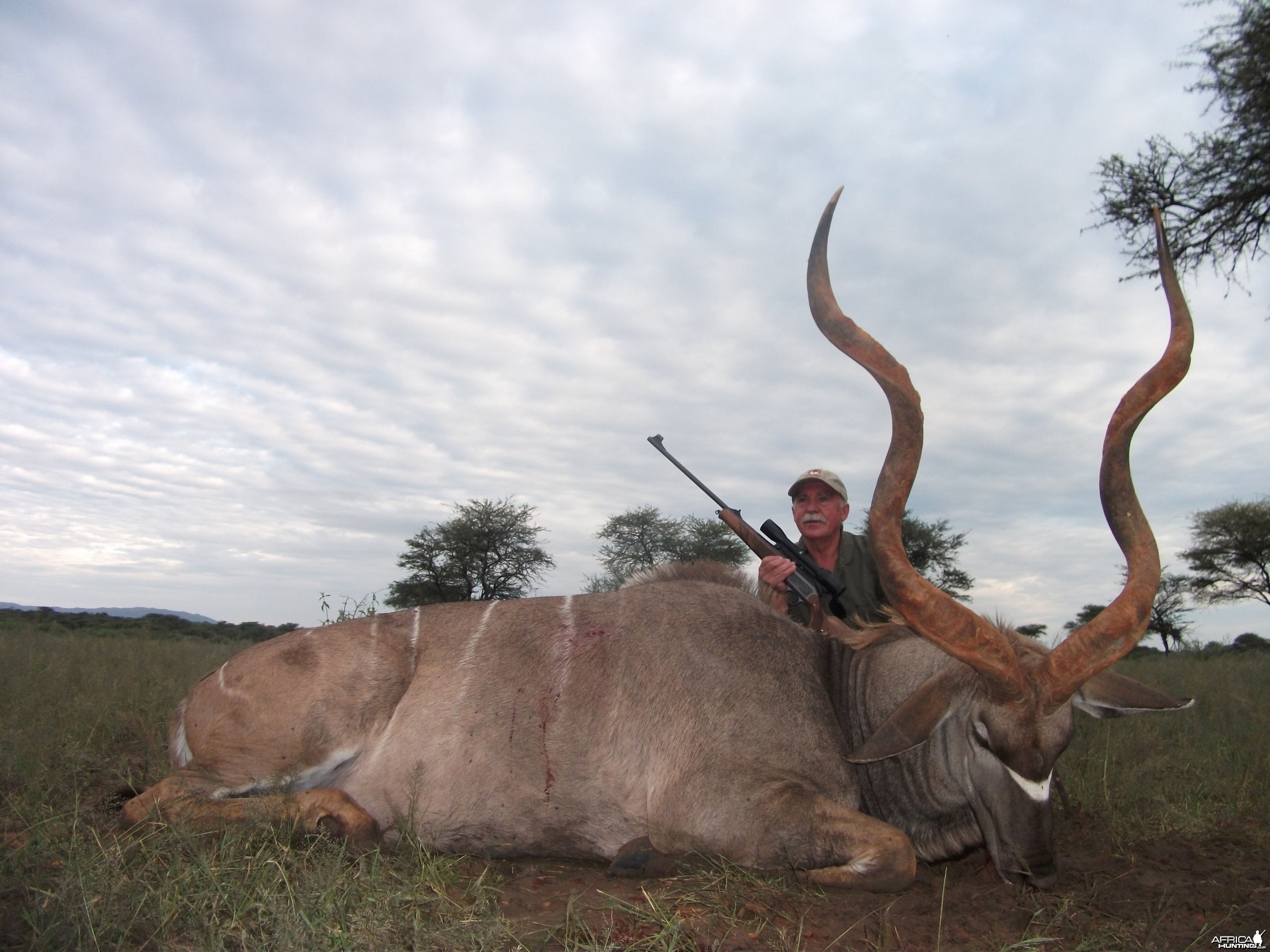 Three horned Greater Kudu hunted in Namibia