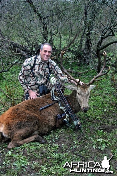 Red Deer-North America