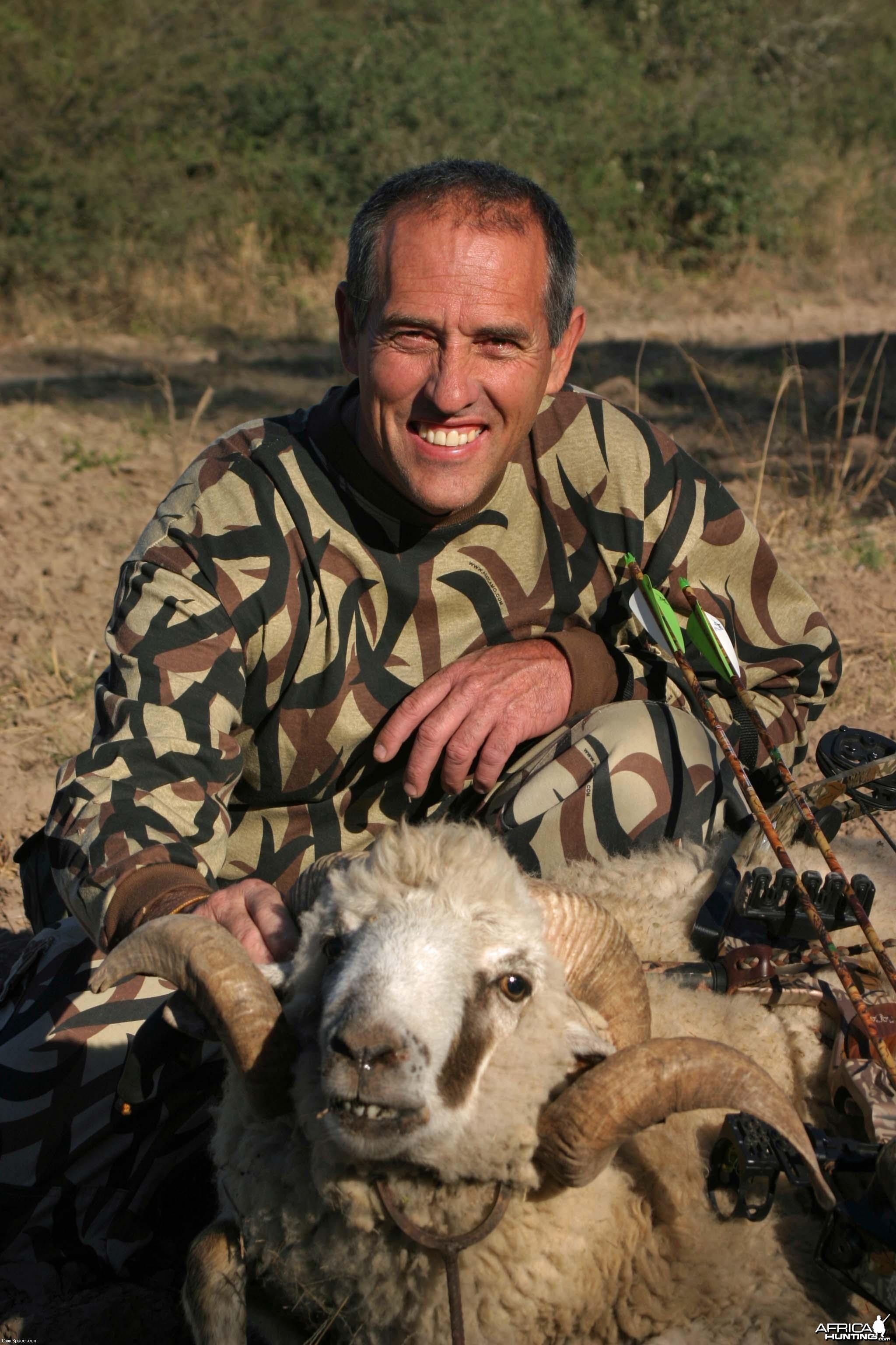 Feral sheep-Argentina