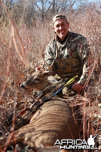 A rare Colorado frontrange White-tailed deer