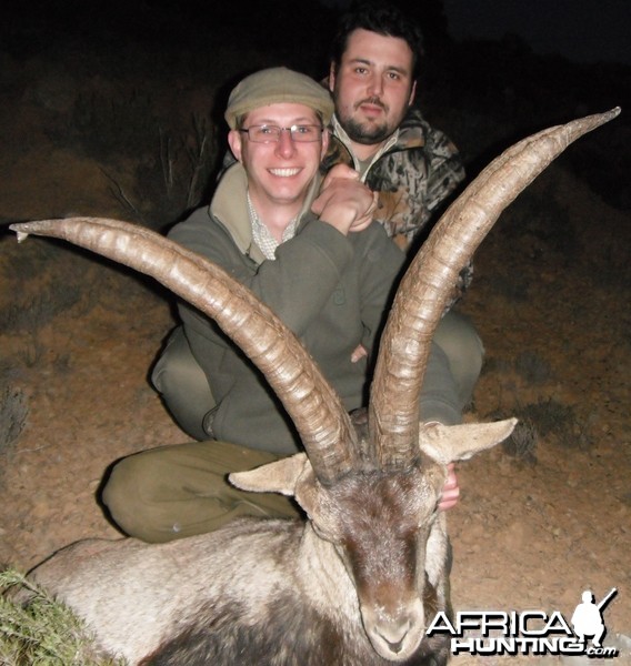 Hunting Ibex in Spain