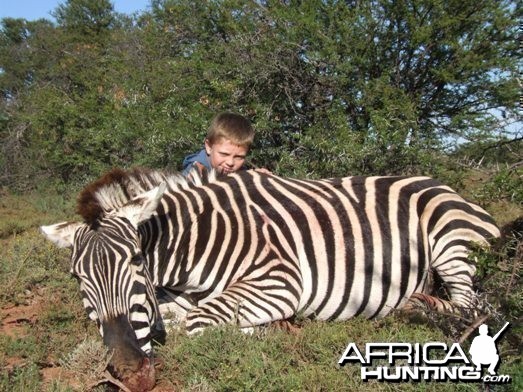Zebra