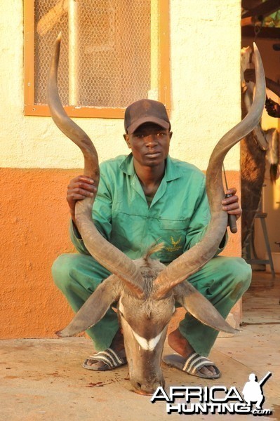 Hunting Greater Kudu in Namibia