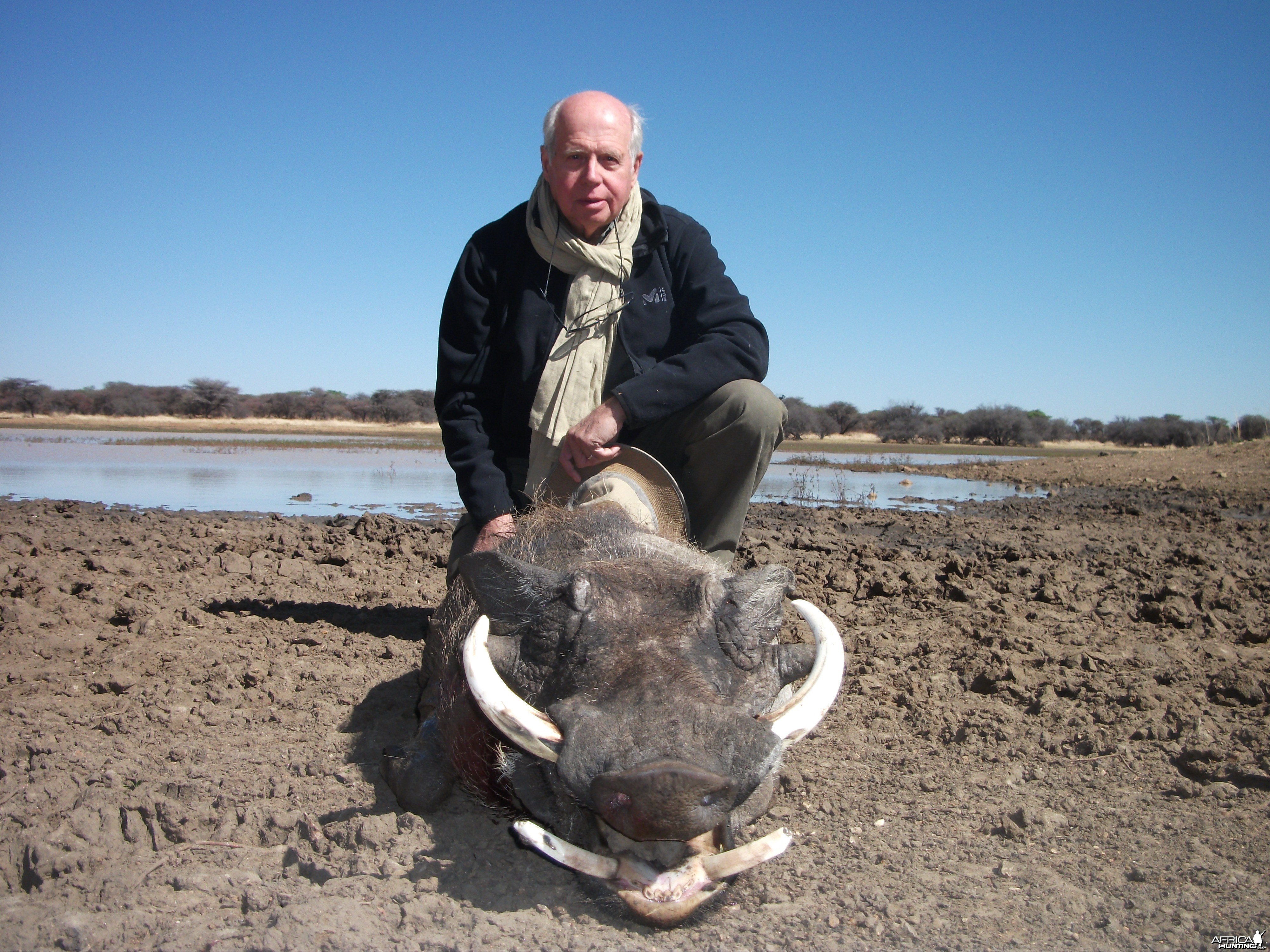 Hunting Warthog in Namibia