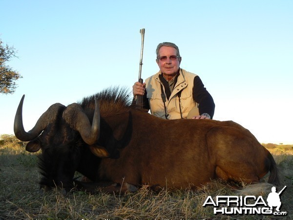 Hunting Black Wildebeest in Namibia