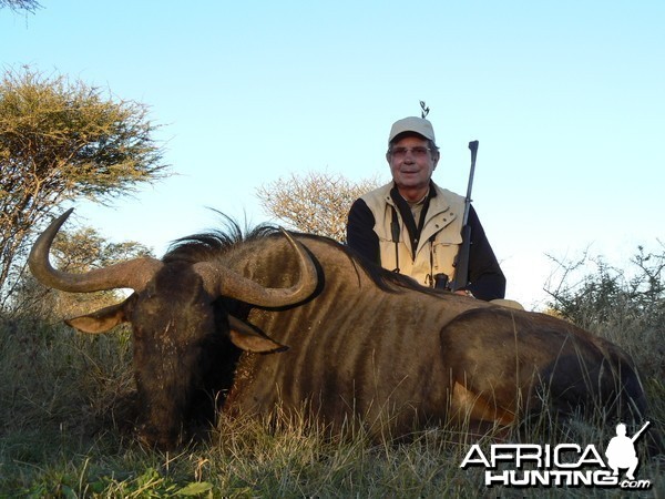 Hunting Blue Wildebeest in Namibia