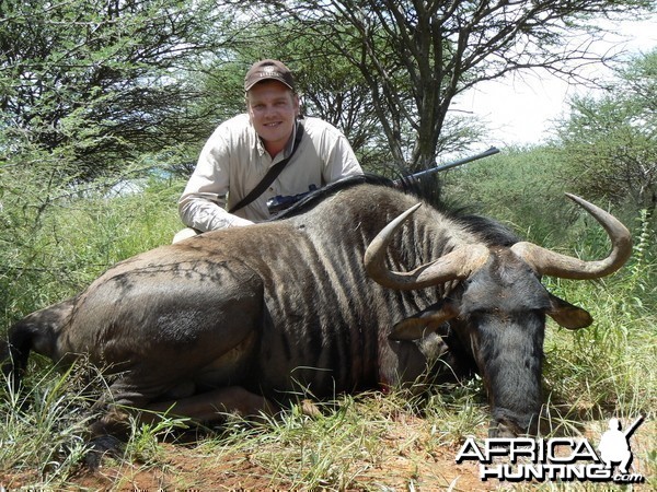 Hunting Blue Wildebeest in Namibia