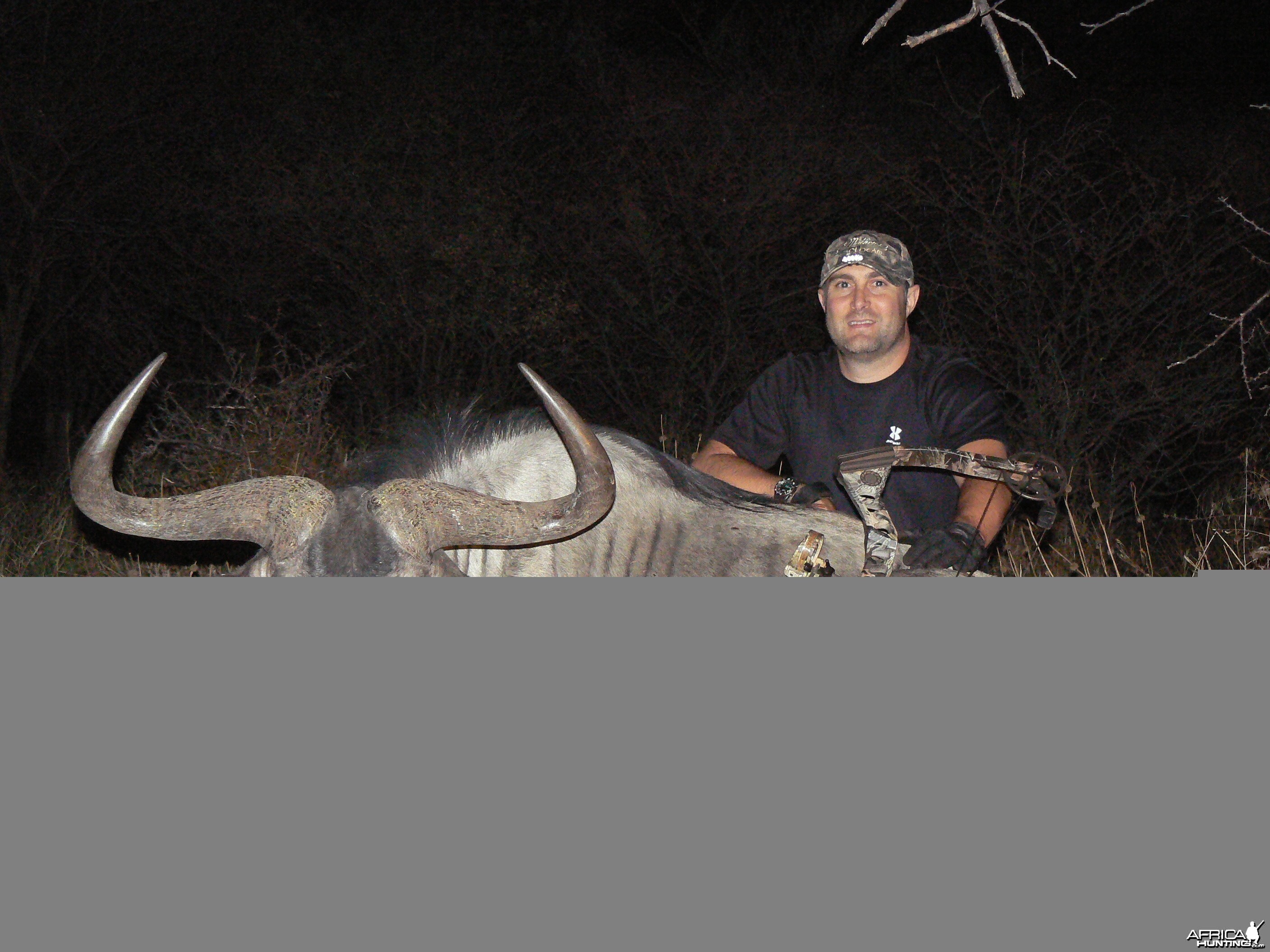 Bowhunting Blue Wildebeest in Namibia