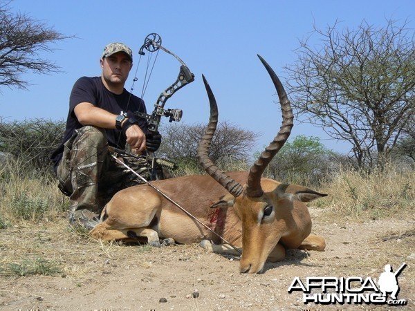 Bowhunting Impala in Namibia