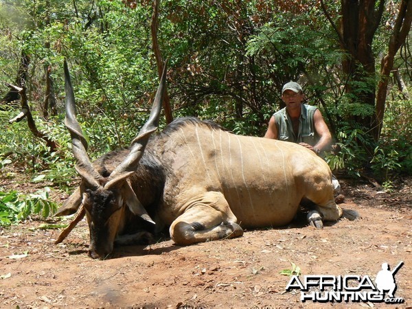 Giant Eland