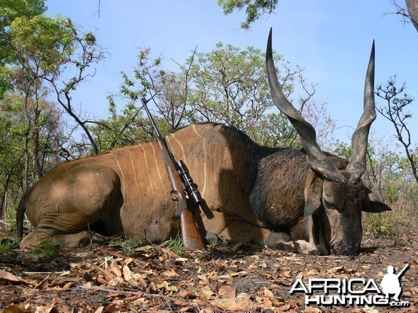 Hunting Giant Eland in CAR