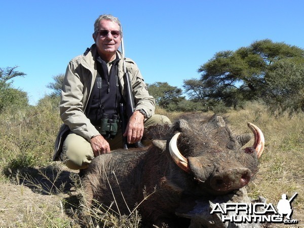 Hunting Warthog in Namibia