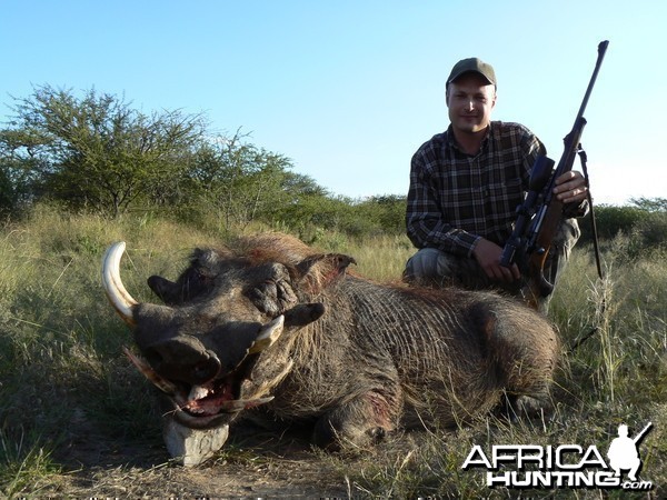 Hunting Warthog in Namibia