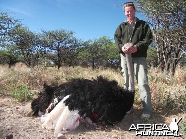 Hunting Ostrich in Namibia