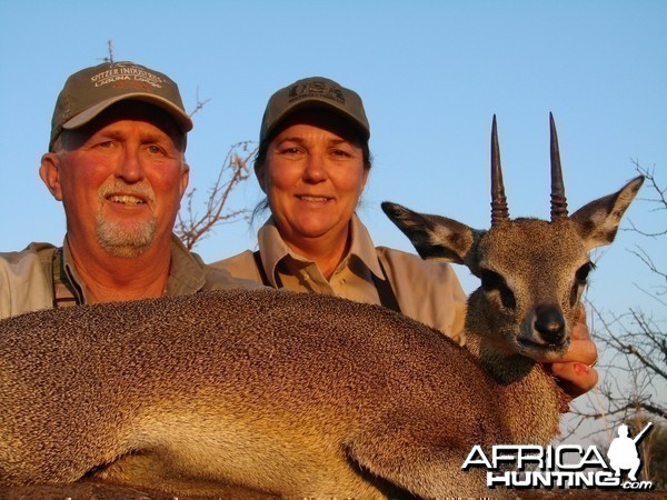 Klipspringer Zimbabwe 2007