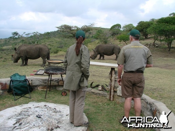 Rhino Kwa Zulu Natal