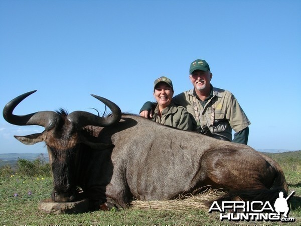 Blue Wildebeest Kwa Zulu Natal, SA 2007