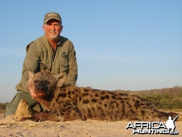 Spotted Hyena Charisa, Zimbabwe 2007