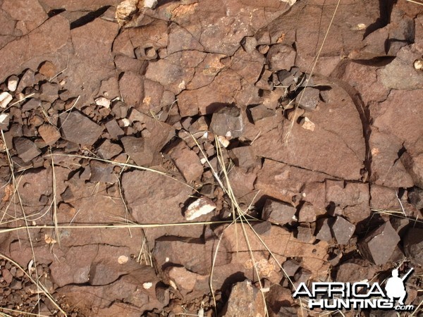 Damaraland Namibia