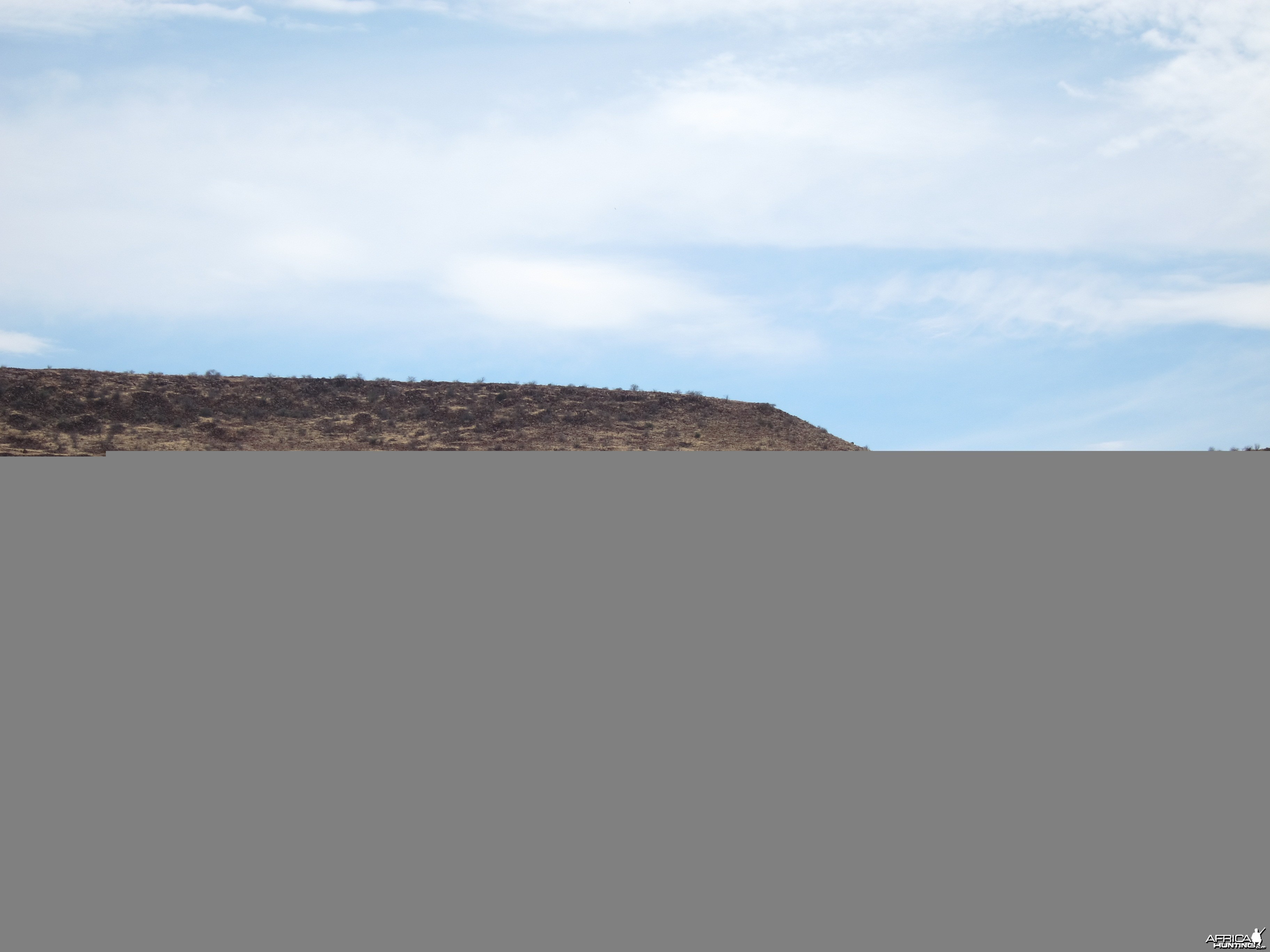 Elephant Damaraland Namibia