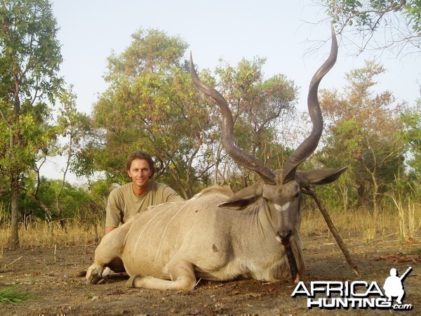 Rare Western Kudu CAR