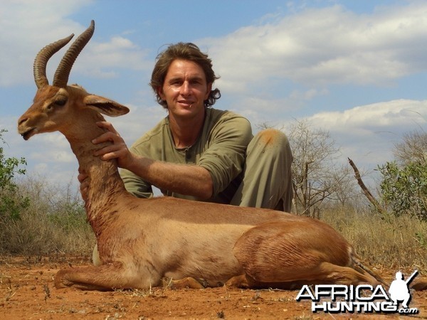 Gerenuk de Tanzanie