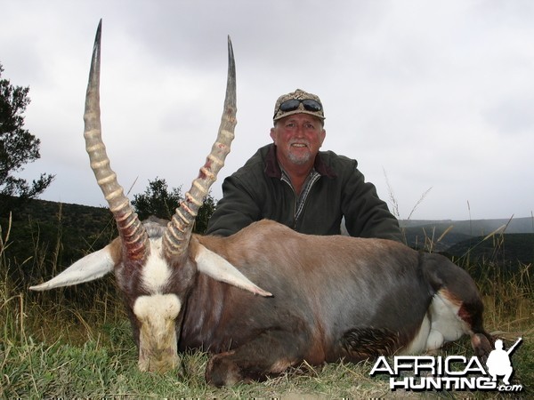 Blesbok East Cape, SA 2004