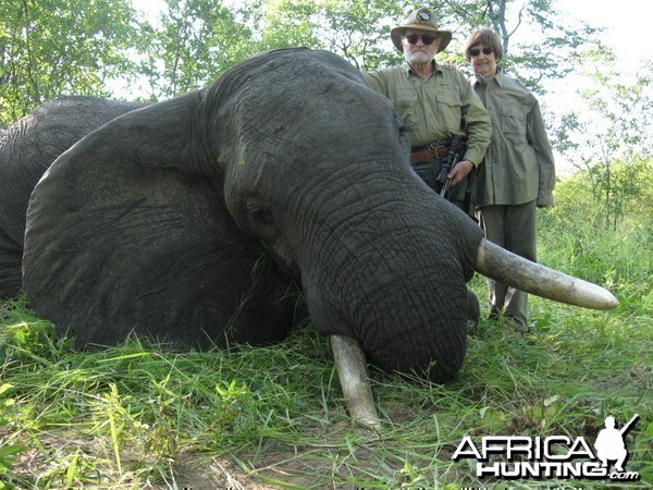 bull elephant with handgun