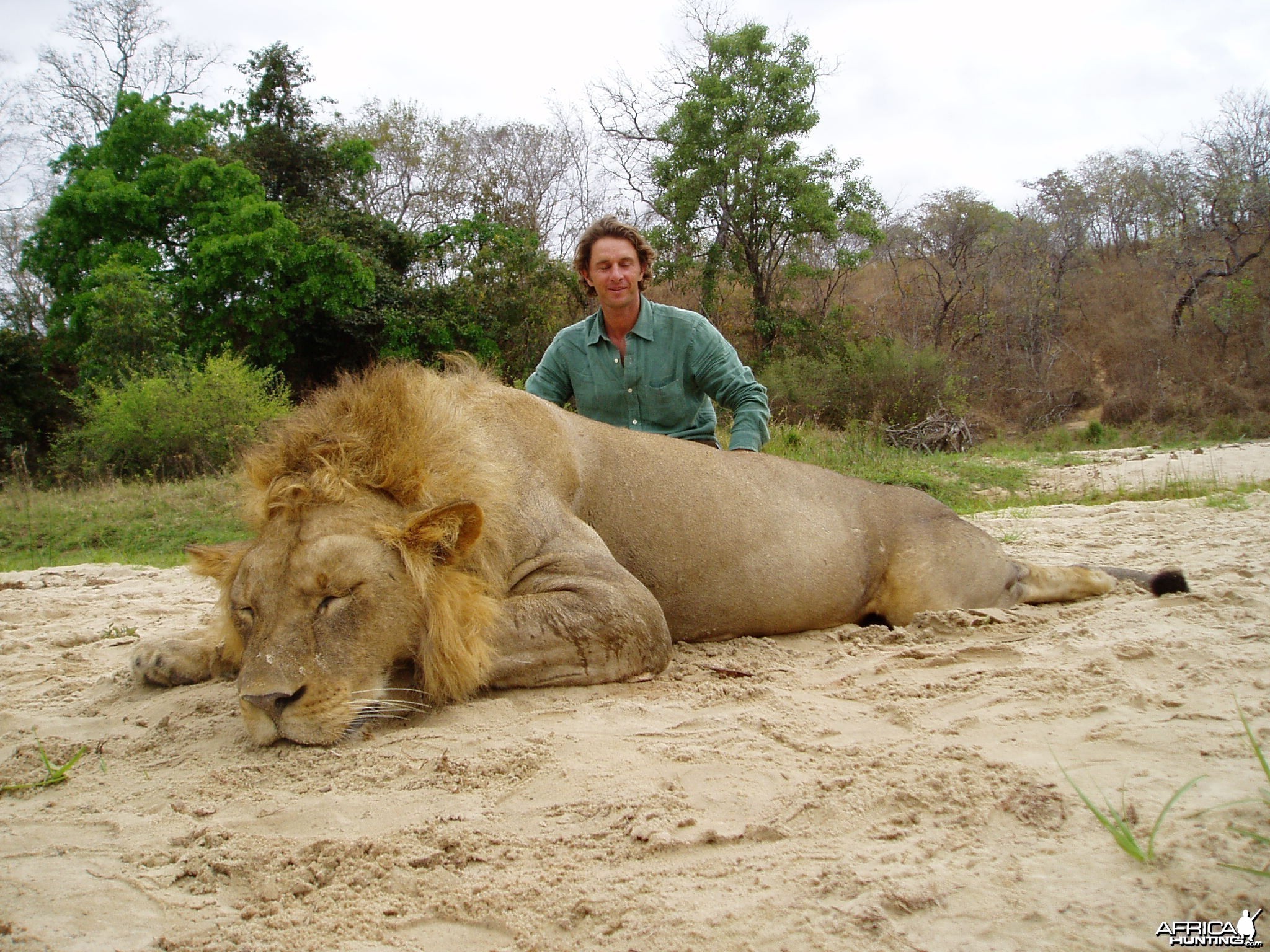 Chasse Lion Selous Tanzanie