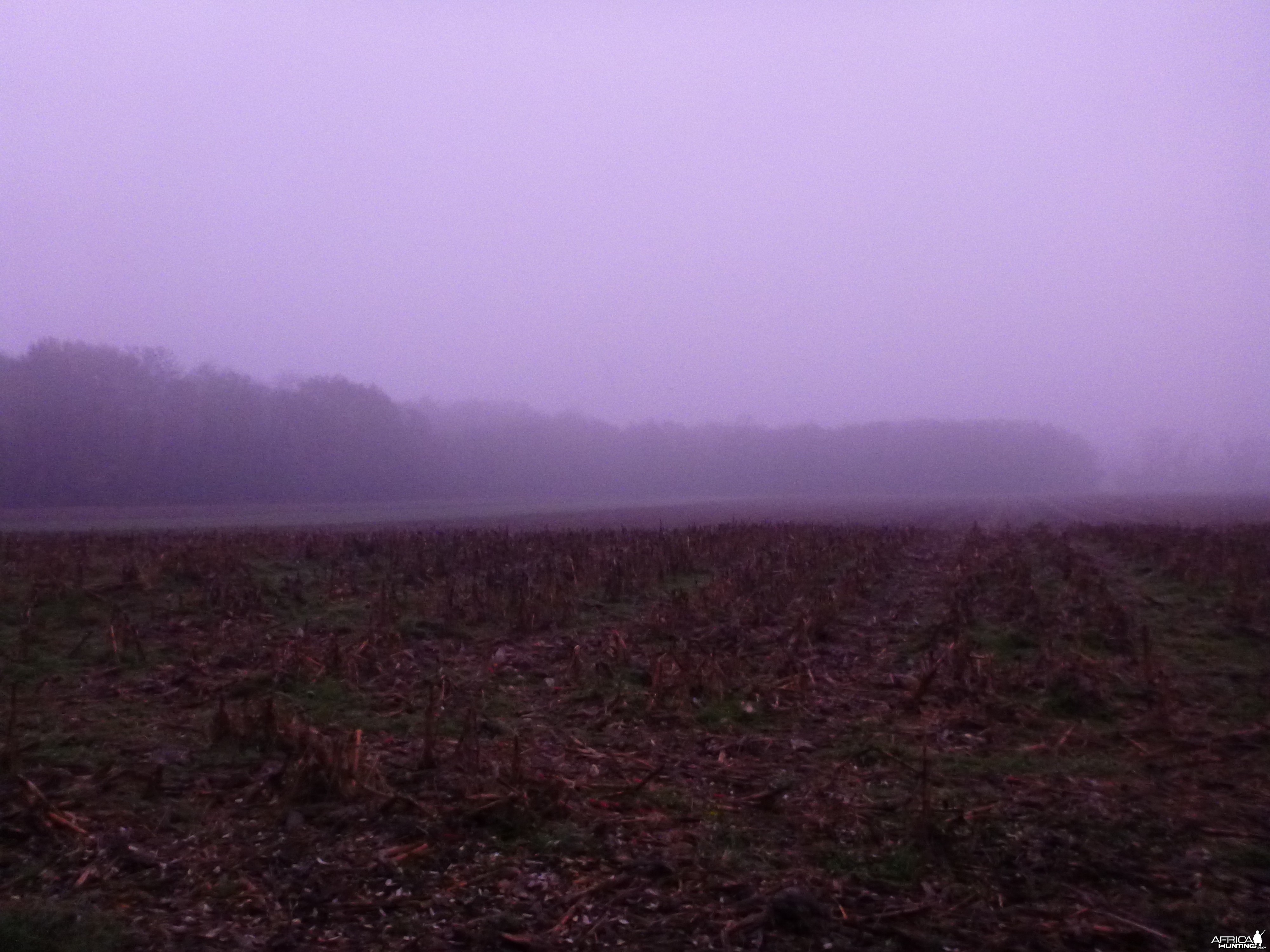 Hunting in France