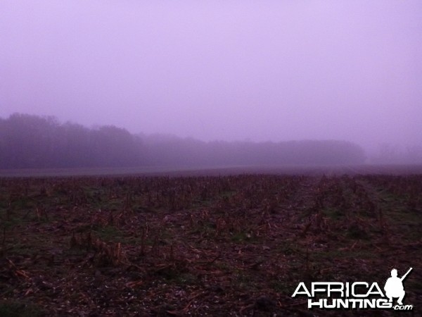 Hunting in France