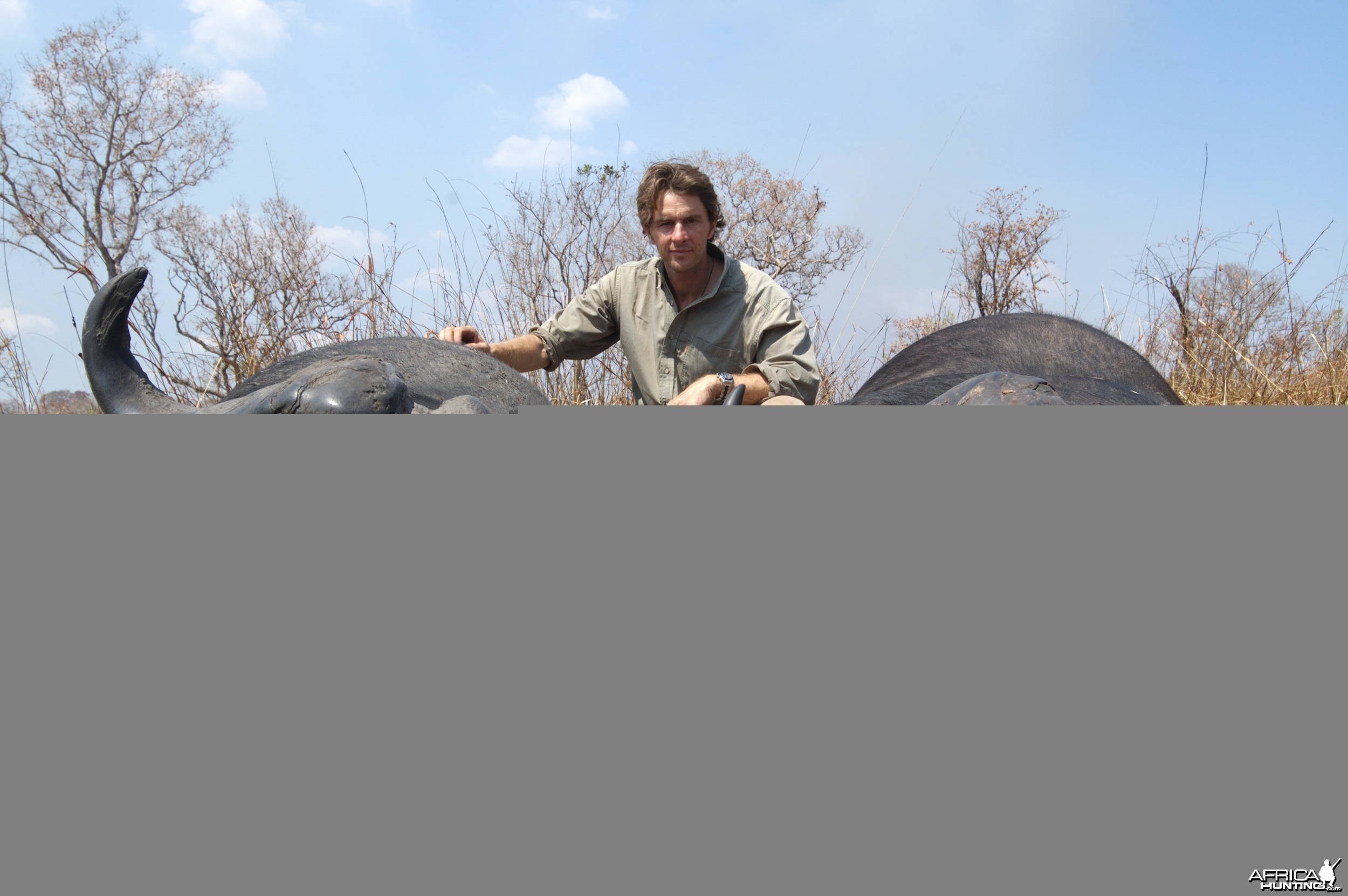 Hunting Buffalo Selous Tanzania