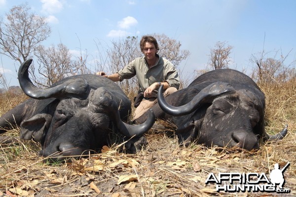 Hunting Buffalo Selous Tanzania
