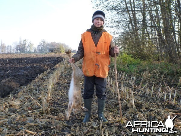 Hare Hunting in France