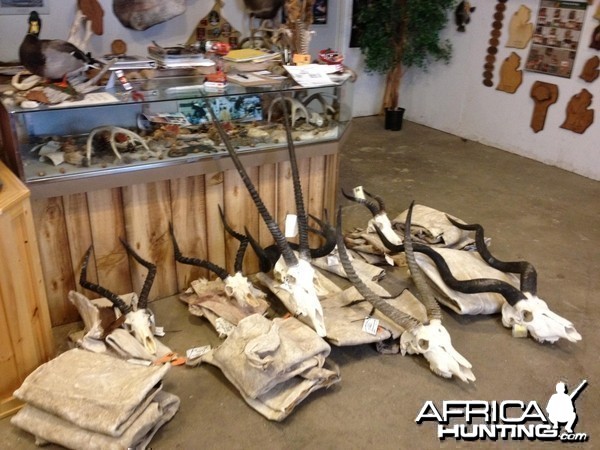 Trophy crate from Africa