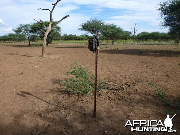 Trail Camera Namibia