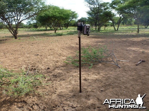 Trail Camera Namibia