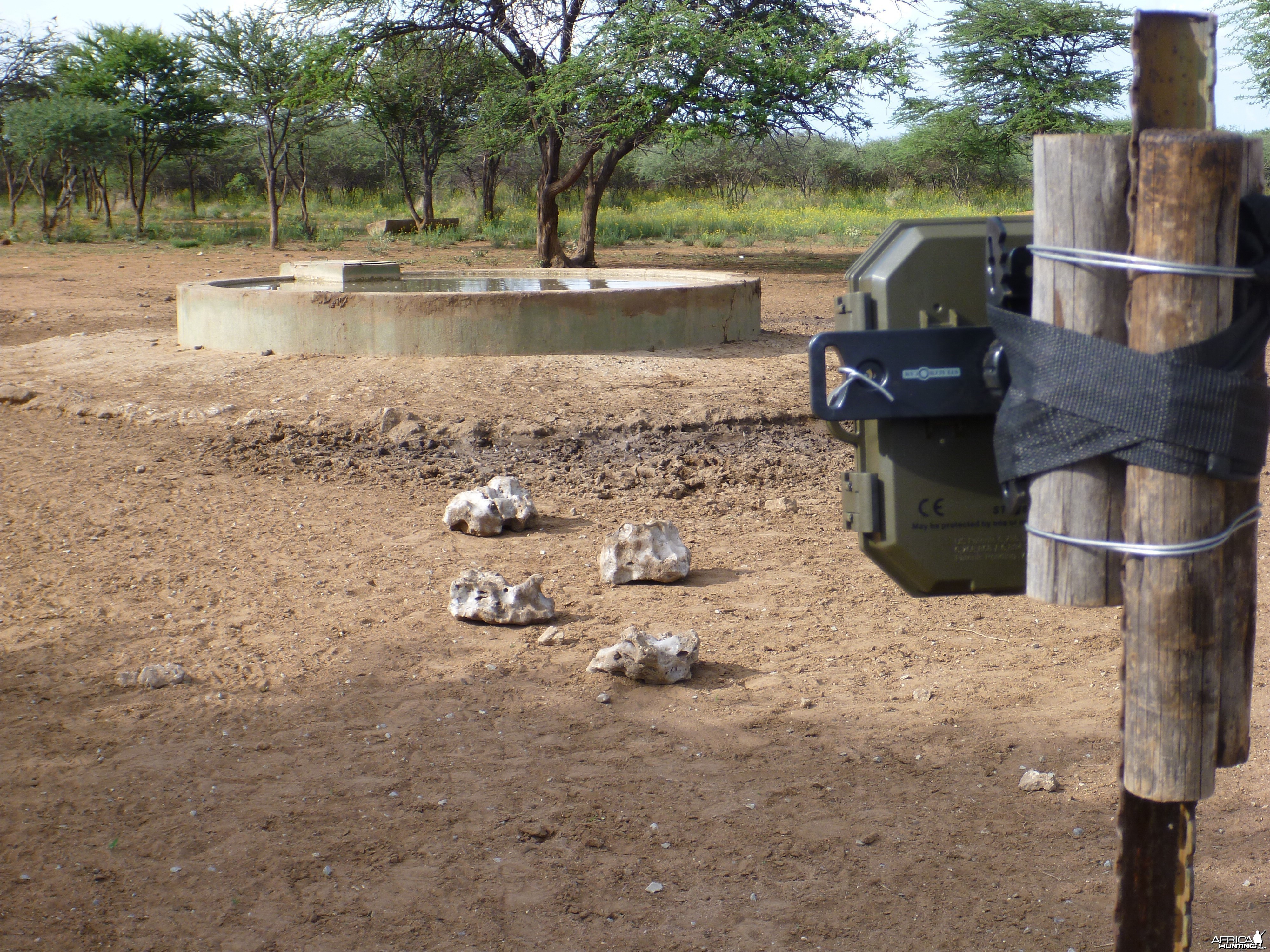 Trail Camera Namibia