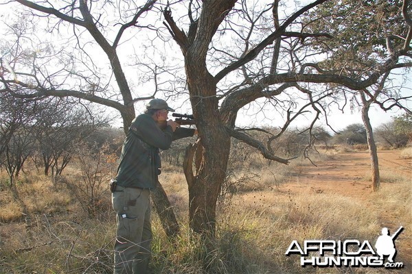 Shooting Sticks