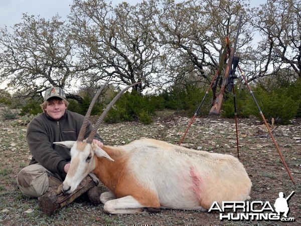 Scimitar Horned Oryx - Zak Texas 2012