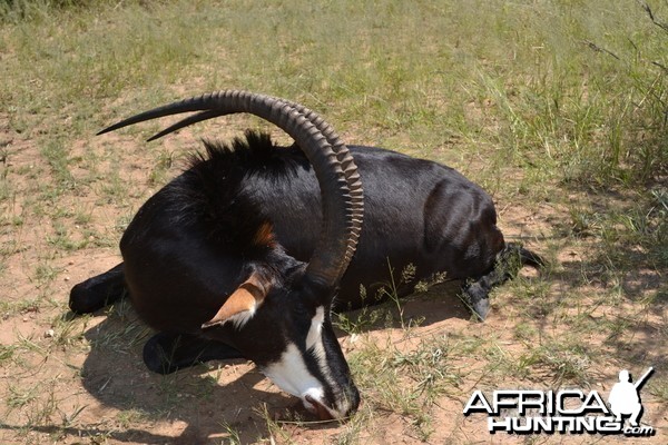 Hunting in Namibia