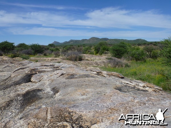 Cheetah scat rocks Namibia
