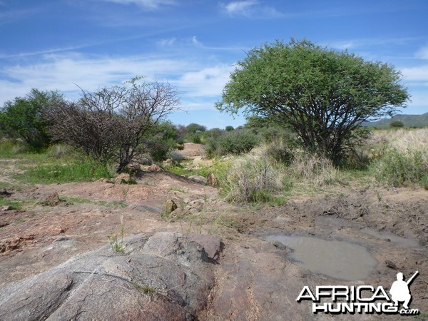 Riverbed Namibia