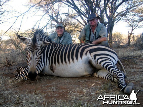 Hartmann's Zebra Hunt Namibia