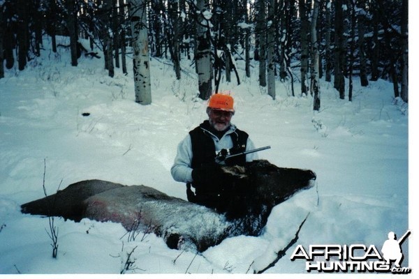 long shot on a cow elk